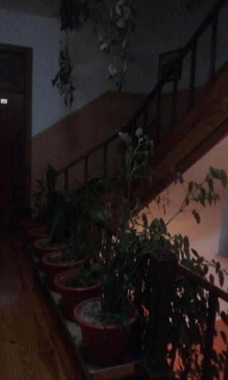 Hotel Pensao Avenida Penacova Zewnętrze zdjęcie