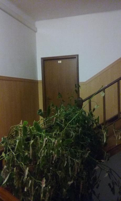 Hotel Pensao Avenida Penacova Zewnętrze zdjęcie